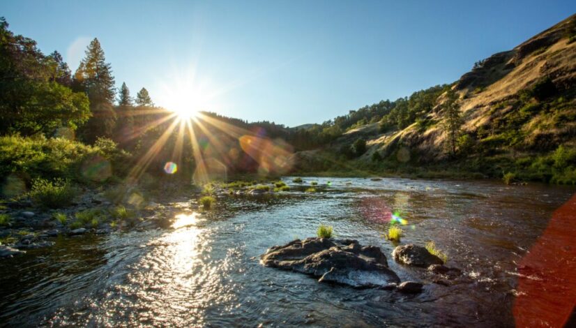 North Umpqua River @ Whistler's Bend
